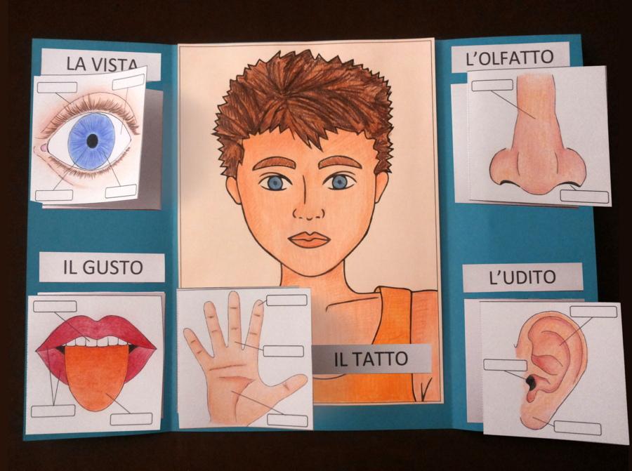 APRENDO – APPRENDO®: LAPBOOK "I 5 SENSI"