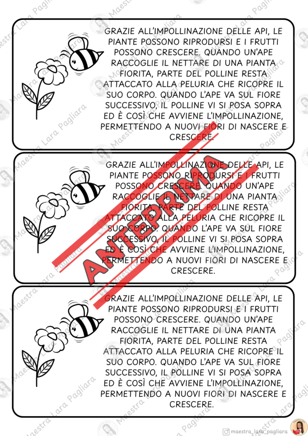Giornata Mondiale delle api