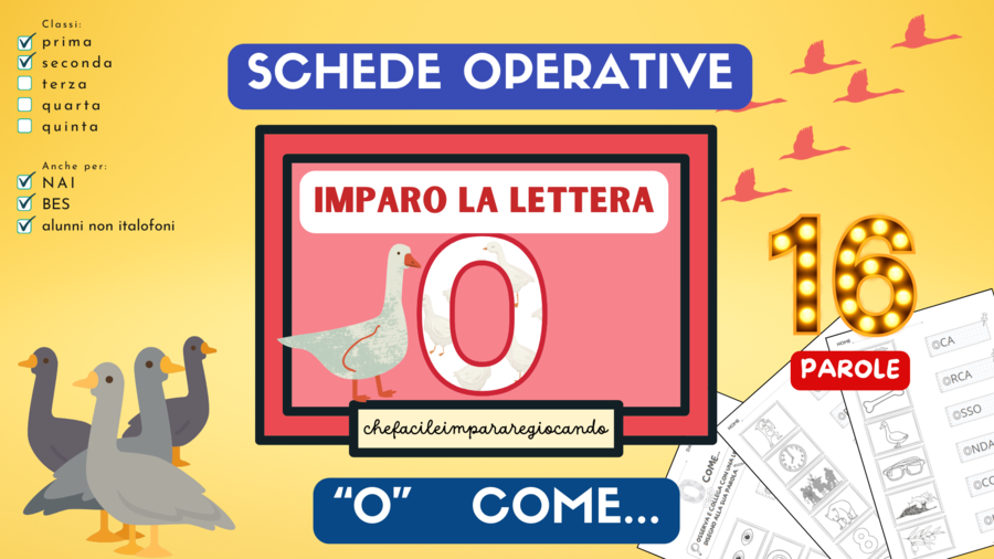 LETTERA O - SCHEDE OPERATIVE - LETTURA LESSICO - VERIFICA - CLASSI PRIMA/SECONDA - ALUNNI NAI/BES