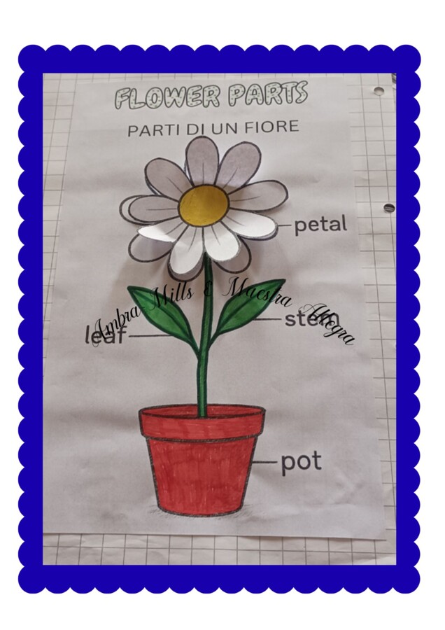 Quaderno d'inglese classe 1
