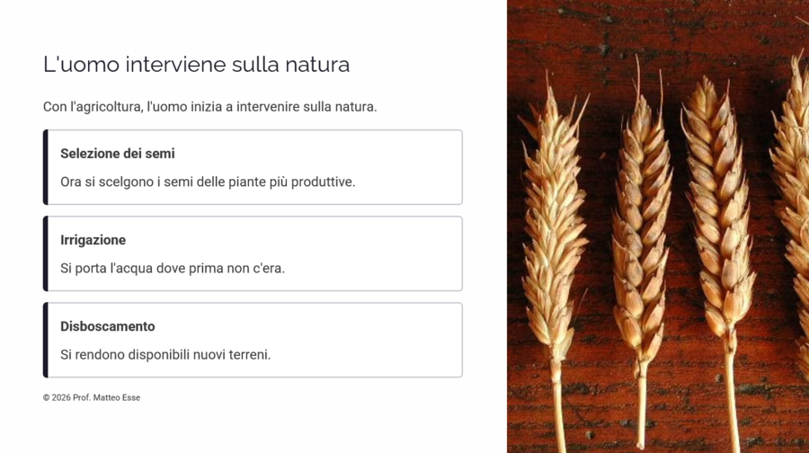 Il Neolitico e la Rivoluzione Agricola: La Fine della Preistoria – Kit Didattico (Slide + Verifica)
