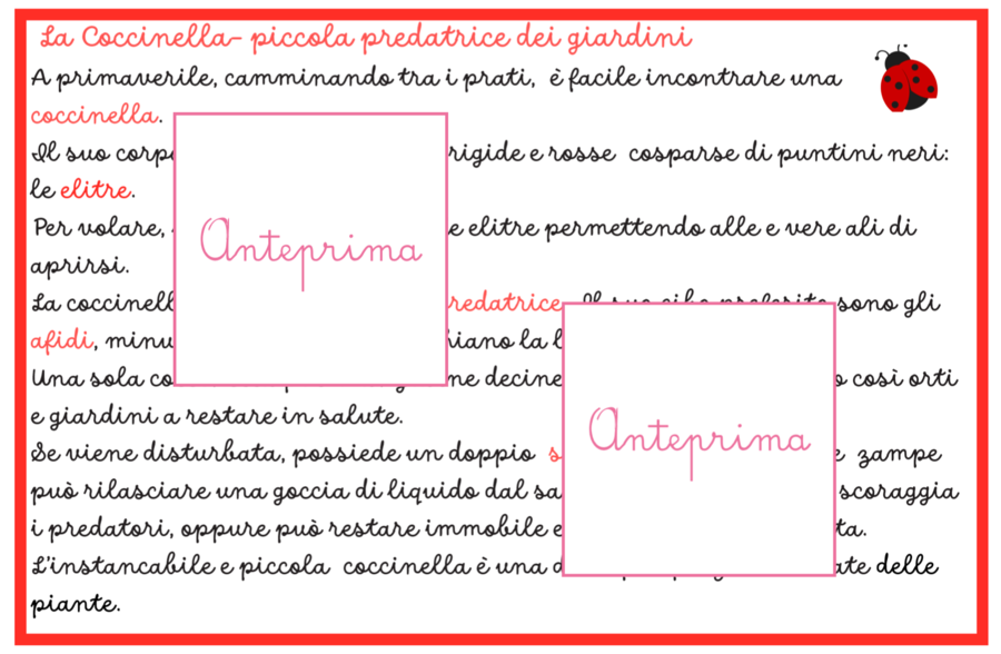Animali della Primavera – Carte Montessori con Schede Scientifiche e Attività di Classificazione- classi 1/2 e scuola dell'infanzia