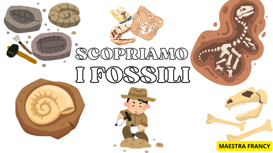 I FOSSILI 14 PAG