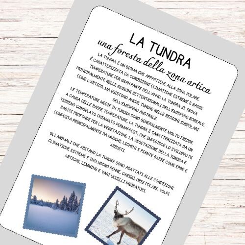Schede didattiche sulla Tundra