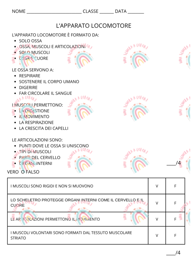 apparato locomotore prova di verifica