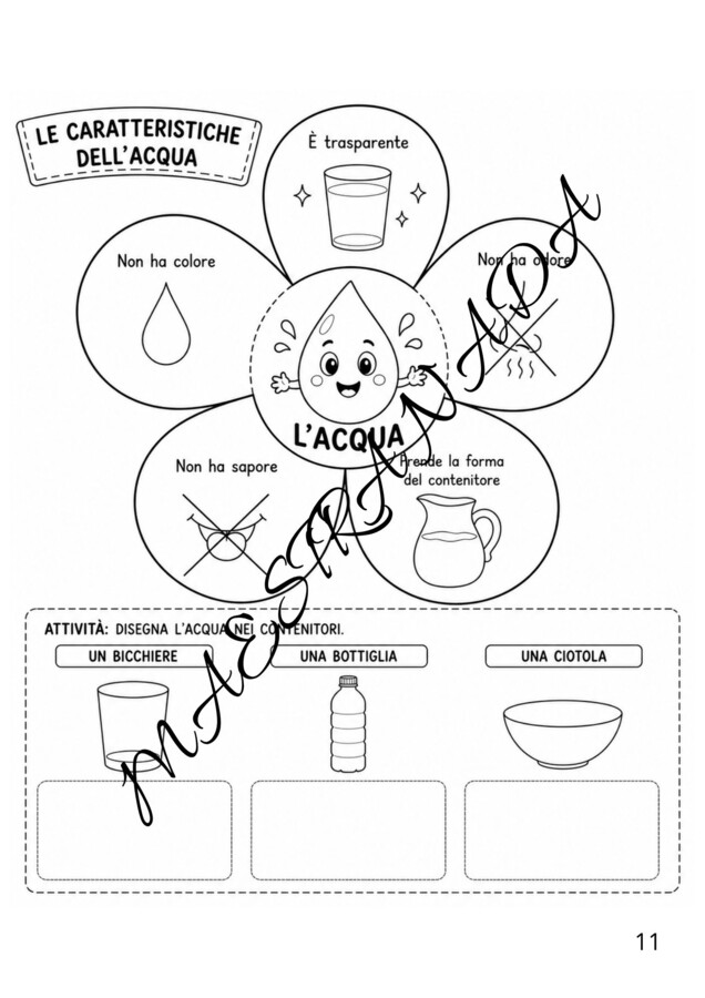 LAPBOOK sull'acqua - classe seconda e terza scuola primaria