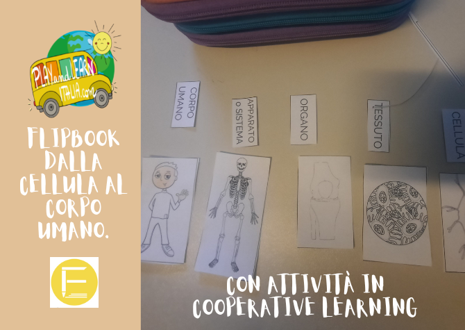 FLIPBOOK - DALLA CELLULA AL CORPO UMANO