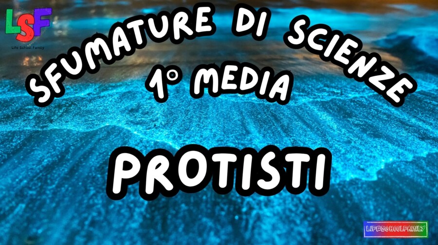 Protisti_KIT MULTIMODALE SCIENZE 1°media_slide+ infografica+ mappa mentale+ disegno da colorare+VERIFICA LE COMPETENZE+OMAGGIO:VIDEO&PODCAST