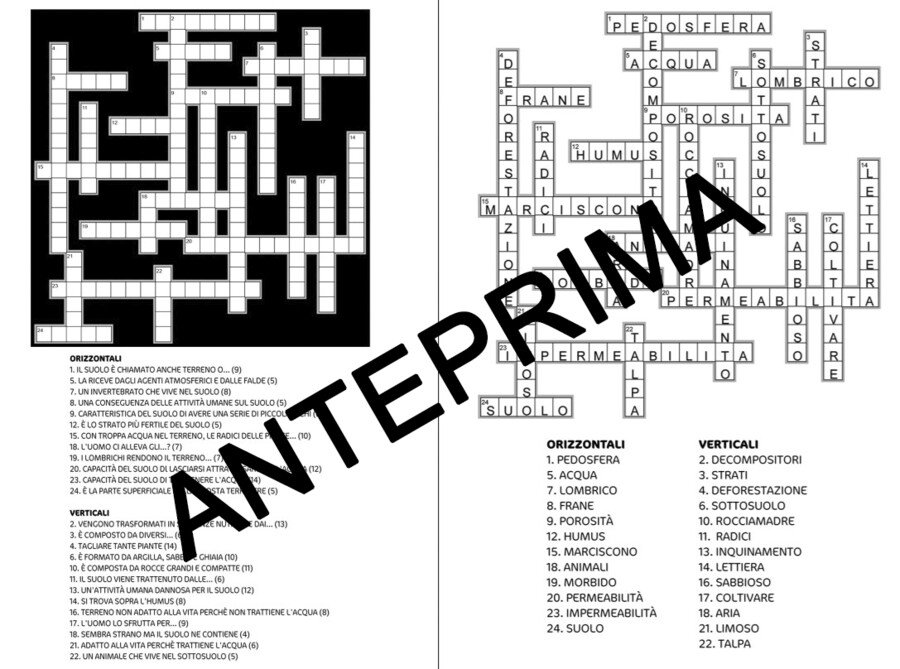 CRUCIVERBA SUL SUOLO / TERRENO CLASSE TERZA - SCUOLA PRIMARIA
