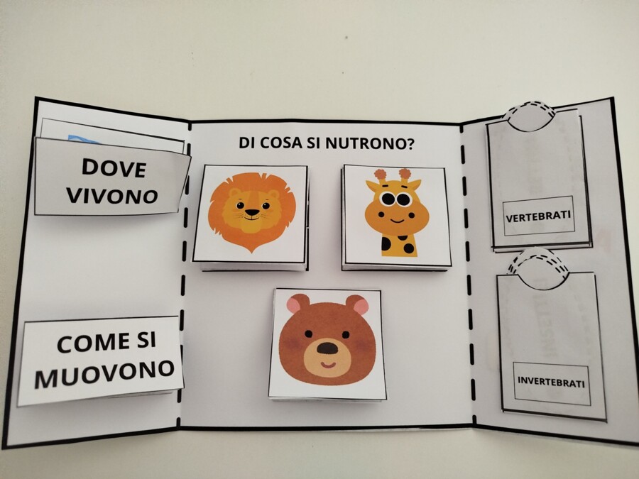 LAPBOOK SUGLI ANIMALI