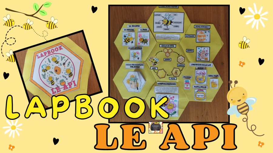 LAPBOOK LE API🐝🐝
