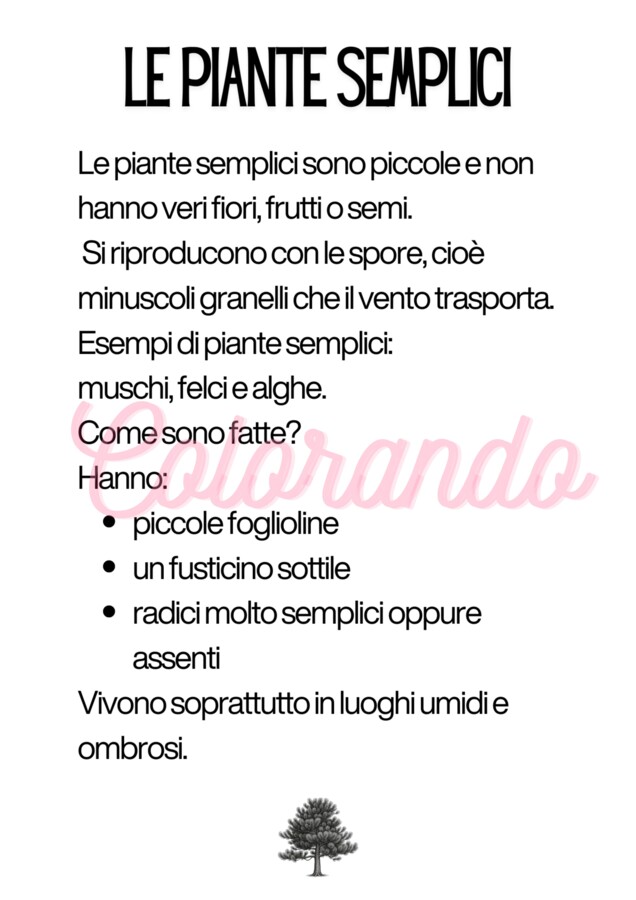 Alla scoperta delle piante – Schede didattiche sulla fotosintesi e la riproduzione vegetale per la scuola primaria terza e quarta