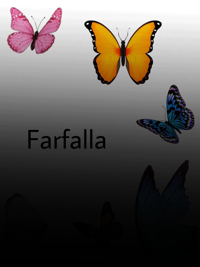Animali Da Scoprire