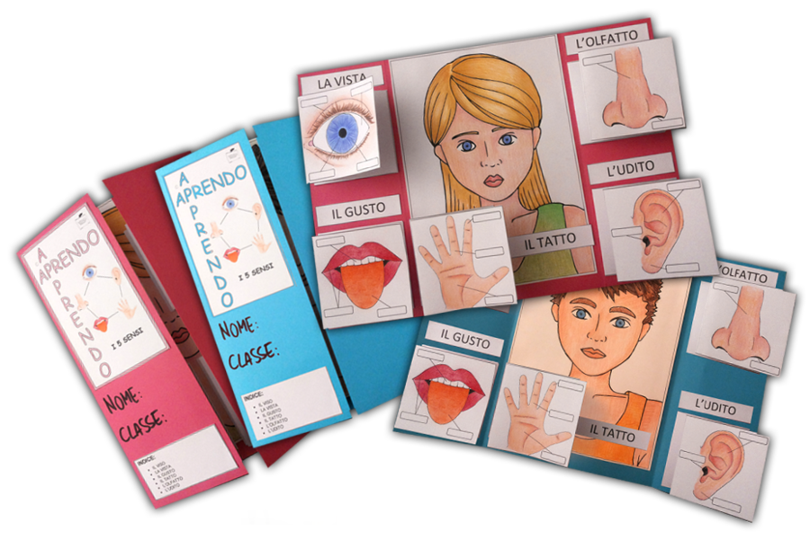 APRENDO – APPRENDO®: LAPBOOK "I 5 SENSI"
