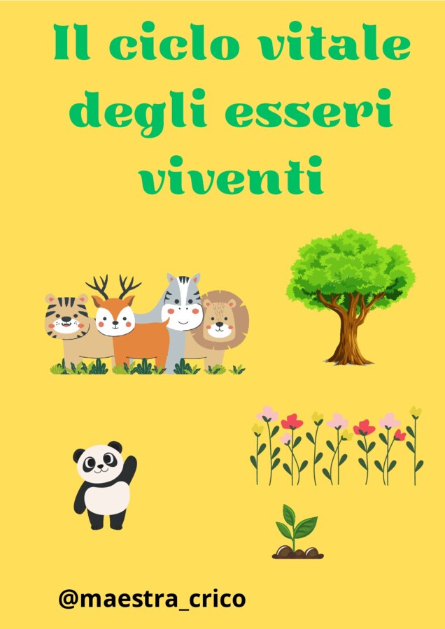 Il CICLO VITALE DEGLI ESSERI VIVENTI