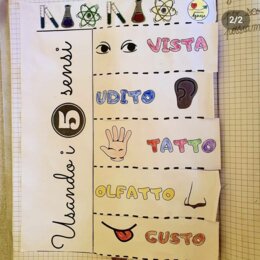 Lapbook I cinque sensi