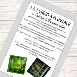 Schede didattiche sulla foresta pluviale