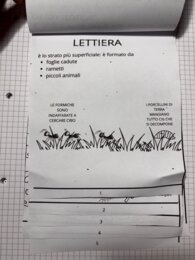 Gli strati del suolo