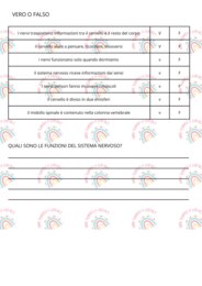 Prova di verifica sul sistema nervoso classe quinta primaria