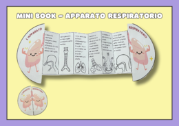 Mini Book - L'apparato respiratorio