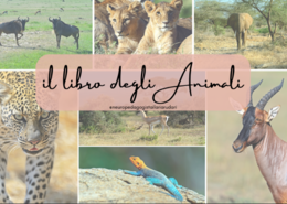 LIBRO DEGLI ANIMALI