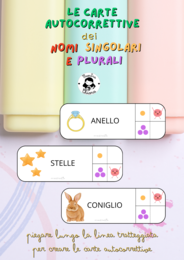 Carte autocorrettive: esplora il mondo dei nomi singolari e plurali!