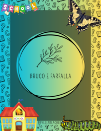 La metamorfosi - Il ciclo di vita della farfalla (da bruco a farfalla)