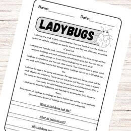 Lettura e comprensione in inglese - Ladybugs