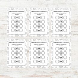 Numeri fino al 100 esercizi sul precedente e successivo