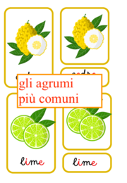 Nomenclatura degli agrumi