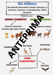 PERCORSO SUGLI ANIMALI