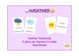 WEATHER FLASHCARDS