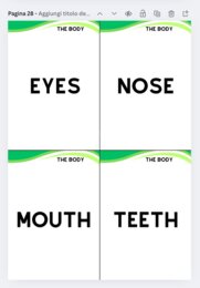 Flashcards