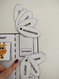 LAPBOOK SUGLI ANIMALI