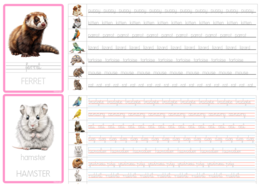 Tracing Activity: Pets