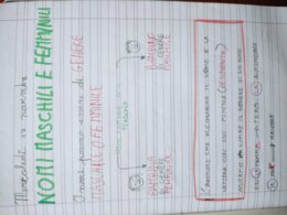 QUADERNO DI ITALIANO classe 3^ - 2° parte -