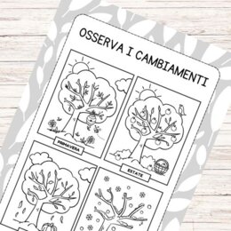 Schede didattiche sulle stagioni