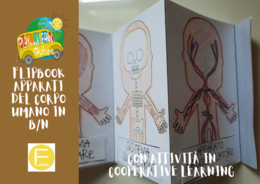FLIPBOOK: GLI APPARATI DEL CORPO UMANO
