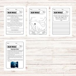 Lettura e comprensione in inglese sulle balene