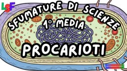 Procarioti_KIT MULTIMODALE SCIENZE 1°media_slide+ infografica+ mappa mentale+ disegno da colorare+VERIFICA LE COMPETENZE+OMAGGIO:VIDEO&PODCAST