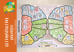 IL CERVELLO - INTERACTIVE NOTEBOOK