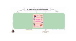 IL TRASPORTO DELLE SOSTANZE