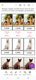 Le carte degli animali