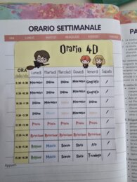 Orario scolastico diario Harry Potter HP MAESTRE MAGICHE