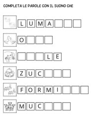 Attività sui suoni CI- CE, CHE-CHI