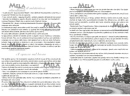 La magia delle stagioni - libro con canzoni