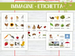 Flashcards Primavera in Inglese – Carte Immagine-Parola, Gioco di Abbinamento e Vocabolario, Infanzia e Scuola Primaria - Montessori - Impara l'inglese giocando - Bellissime carte primaverili per imparare o ripassare parole in inglese