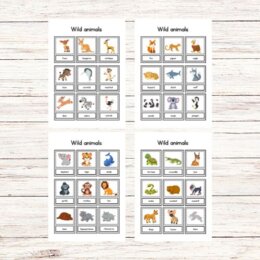 Wild animals flashcards