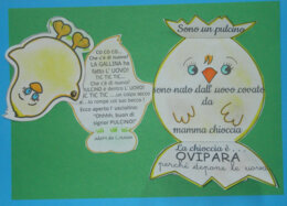 Gli Ovipari interattivi