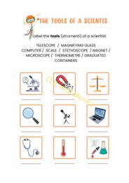 CLIL Scienze 3: gli strumenti degli scienziati - CLIL Science Year 3: the tools of a scientist